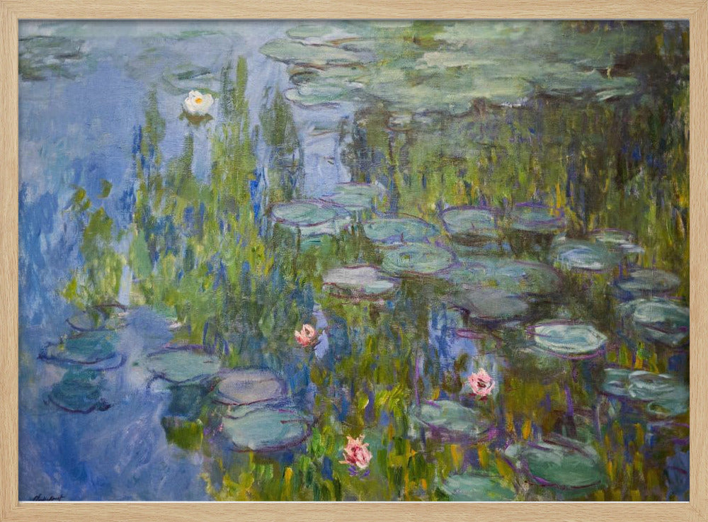 Water Lilies 1915 - Poster / Art Print