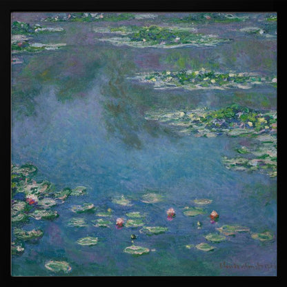 Water Lilies - Poster / Art Print