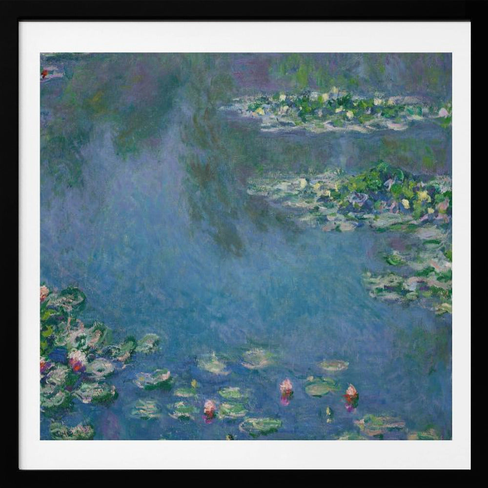 Water Lilies - Poster / Art Print