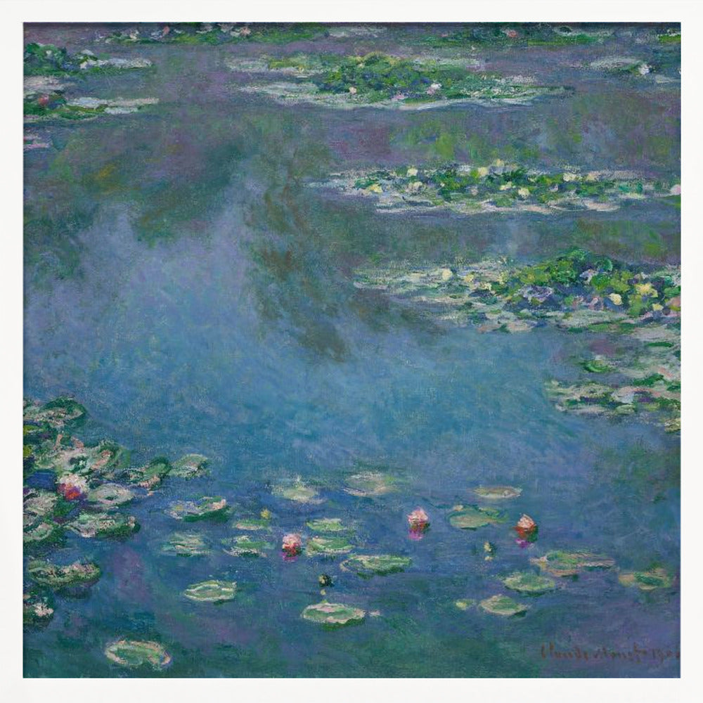 Water Lilies - Poster / Art Print