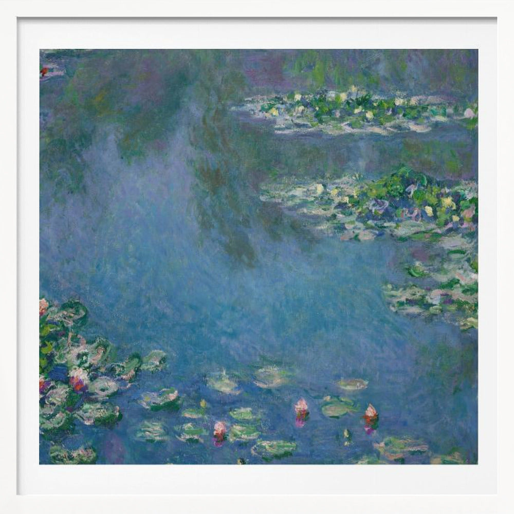 Water Lilies - Poster / Art Print
