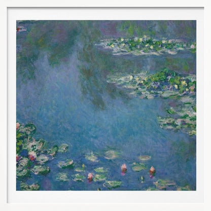 Water Lilies - Poster / Art Print