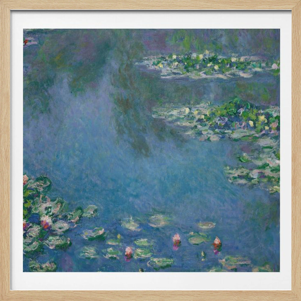Water Lilies - Poster / Art Print