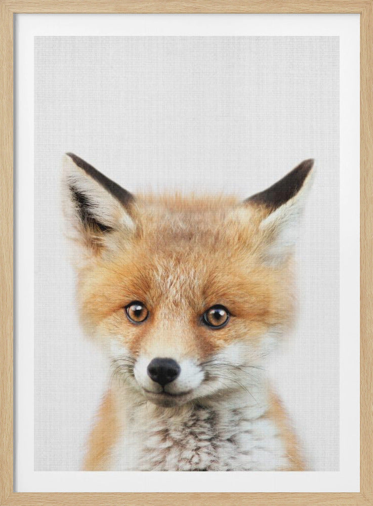 Peekaboo Baby Fox - Poster / Art Print