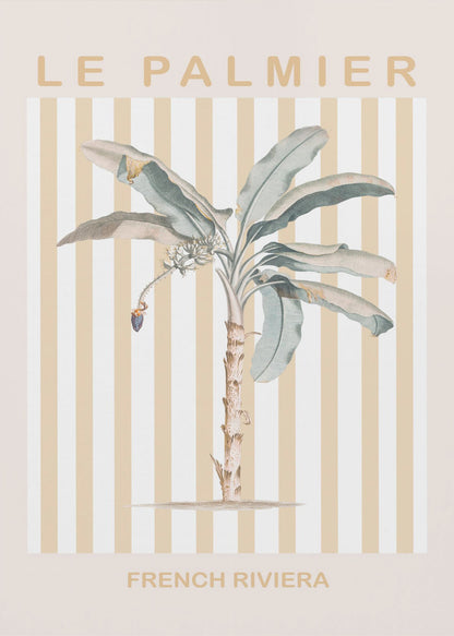 Riviera Plam Tree - Poster / Art Print