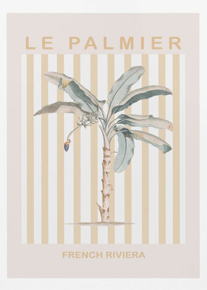 Riviera Plam Tree - Poster / Art Print