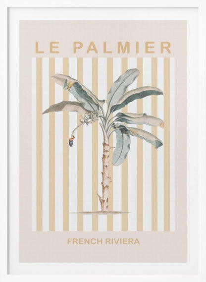 Riviera Plam Tree - Poster / Art Print