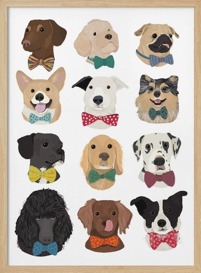 Dog In Bow - Poster / Art Print