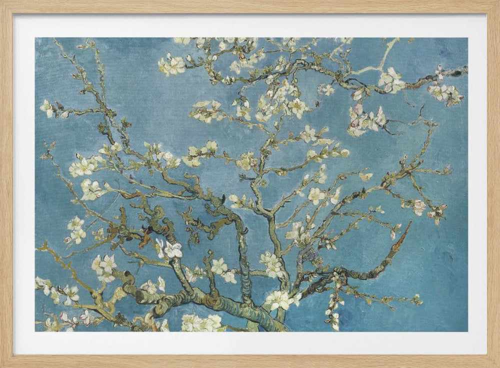 Vincent Van Gogh's Almond Blossom (1890) - Poster / Art Print