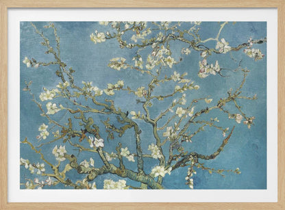 Vincent Van Gogh's Almond Blossom (1890) - Poster / Art Print