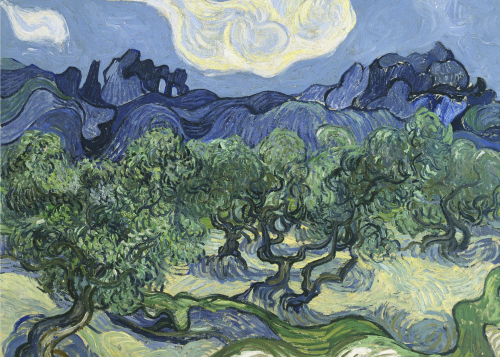 Vincent Van Gogh's Olive Trees With the Alpilles In the Background (1889) - Poster / Art Print