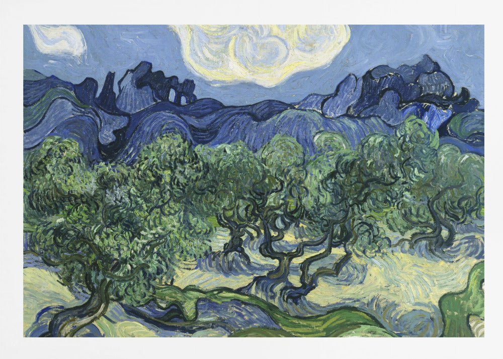 Vincent Van Gogh's Olive Trees With the Alpilles In the Background (1889) - Poster / Art Print