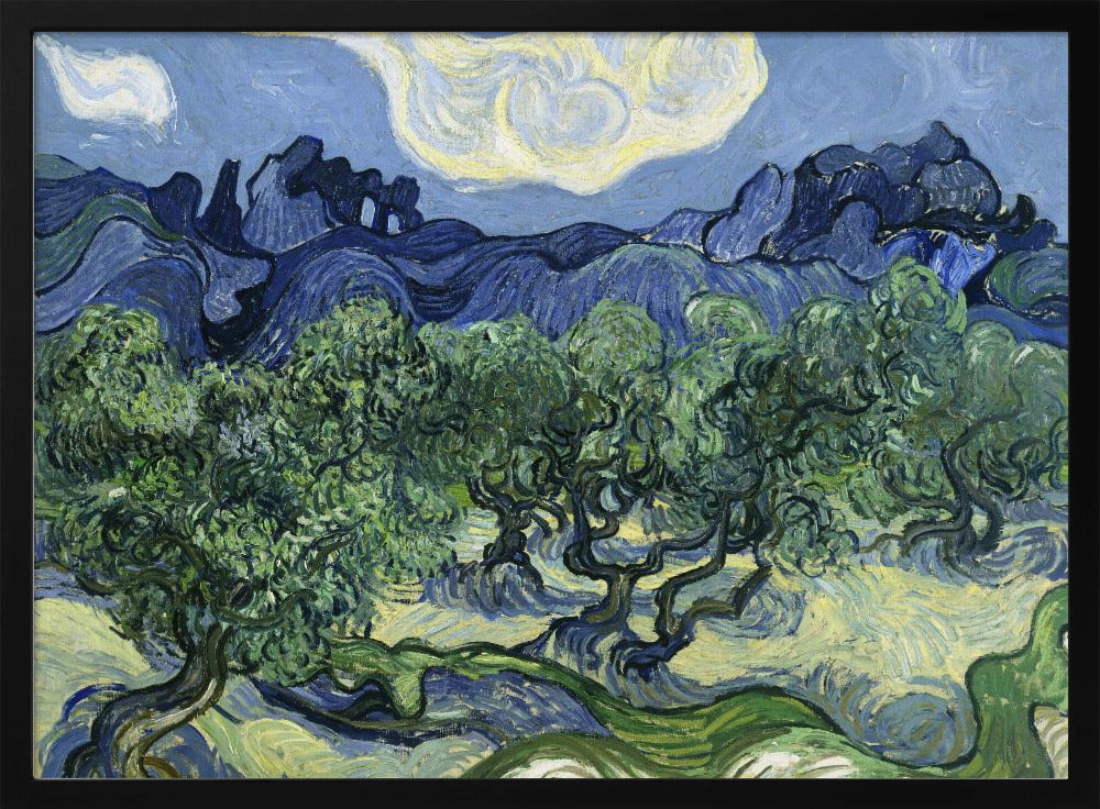 Vincent Van Gogh's Olive Trees With the Alpilles In the Background (1889) - Poster / Art Print