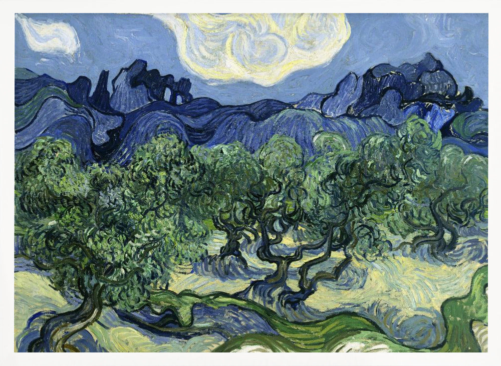 Vincent Van Gogh's Olive Trees With the Alpilles In the Background (1889) - Poster / Art Print
