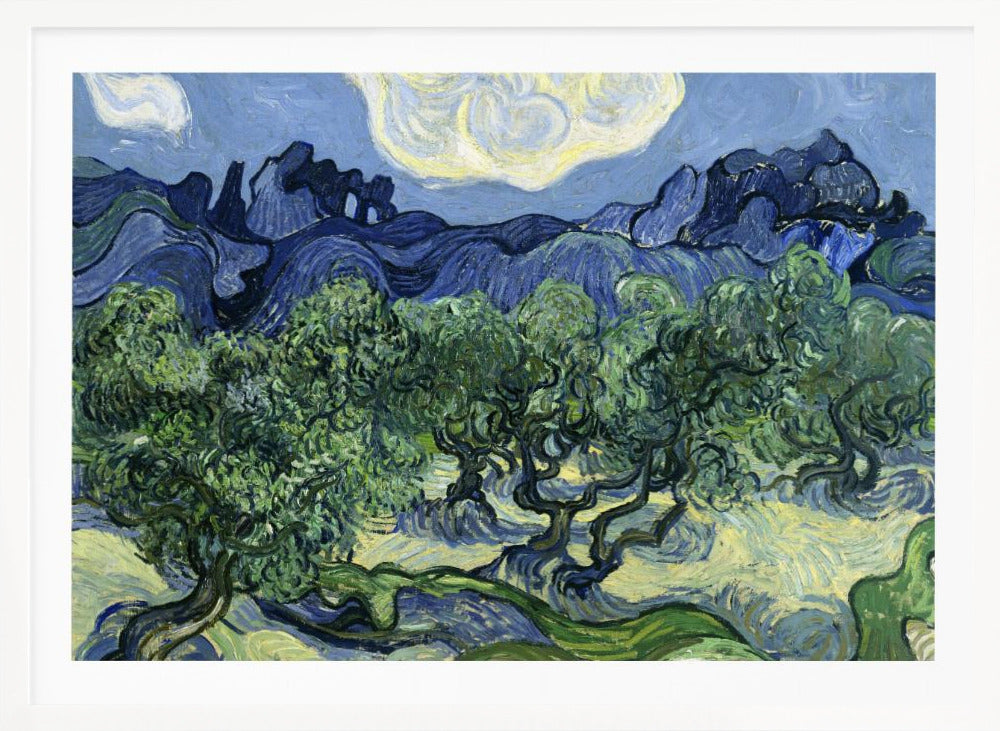 Vincent Van Gogh's Olive Trees With the Alpilles In the Background (1889) - Poster / Art Print