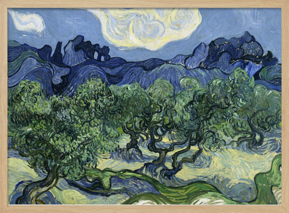Vincent Van Gogh's Olive Trees With the Alpilles In the Background (1889) - Poster / Art Print