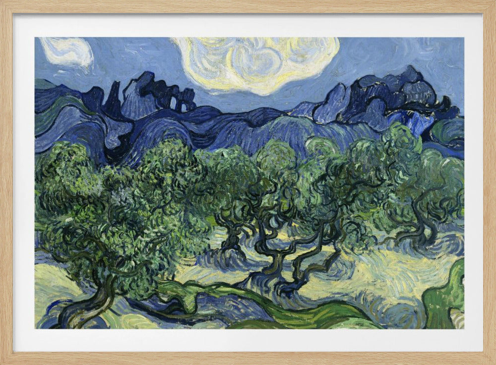 Vincent Van Gogh's Olive Trees With the Alpilles In the Background (1889) - Poster / Art Print