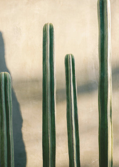 Oaxaca Shades of Green | Mexico travel photography - Poster / Art Print