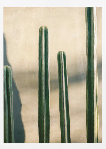 Oaxaca Shades of Green | Mexico travel photography - Poster / Art Print