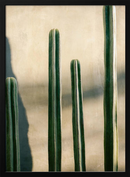 Oaxaca Shades of Green | Mexico travel photography - Poster / Art Print