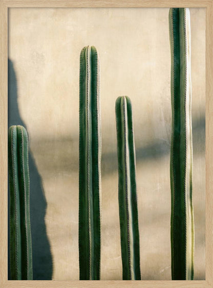 Oaxaca Shades of Green | Mexico travel photography - Poster / Art Print