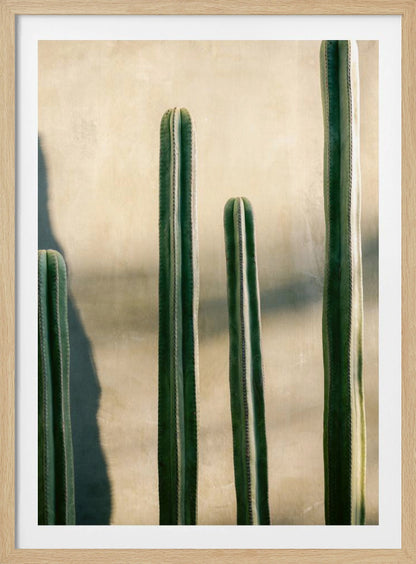 Oaxaca Shades of Green | Mexico travel photography - Poster / Art Print