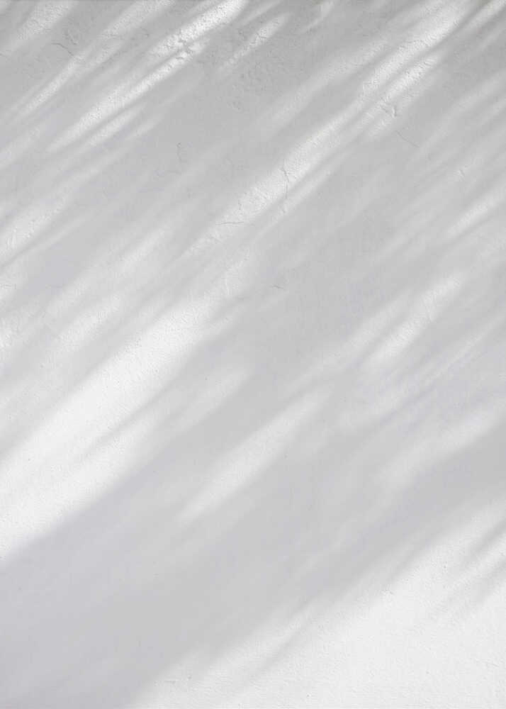 Diagonal leaf shadows cast on a white textured wall, creating a minimalist black and white art piece.