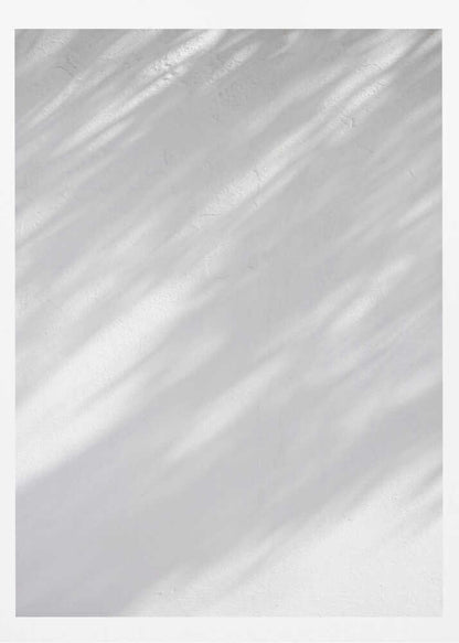 Diagonal leaf shadows cast on a white textured wall, creating a minimalist black and white art piece.