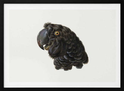 Cockatoo - Poster / Art Print