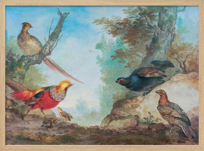 Pheasants - Poster / Art Print