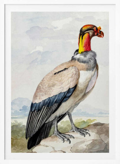 Stone Curlew - Poster / Art Print