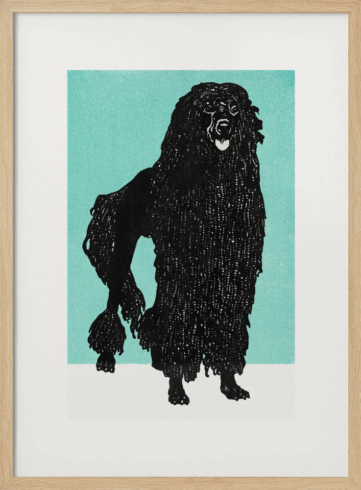 Poodle - Poster / Art Print