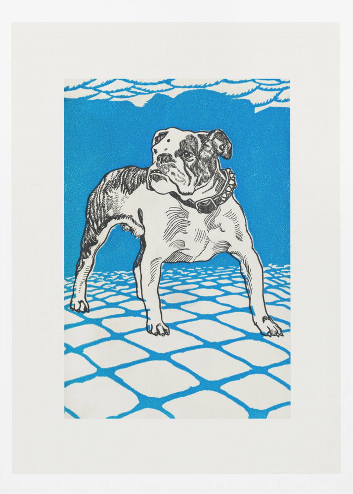 Bulldog - Poster / Art Print