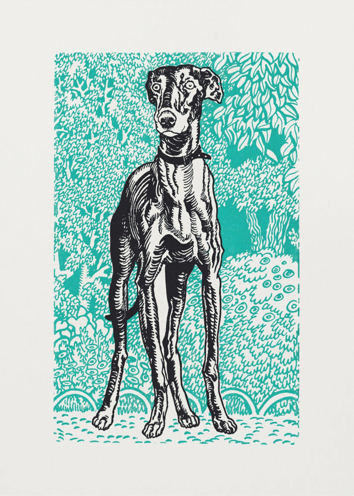 Greyhound - Poster / Art Print