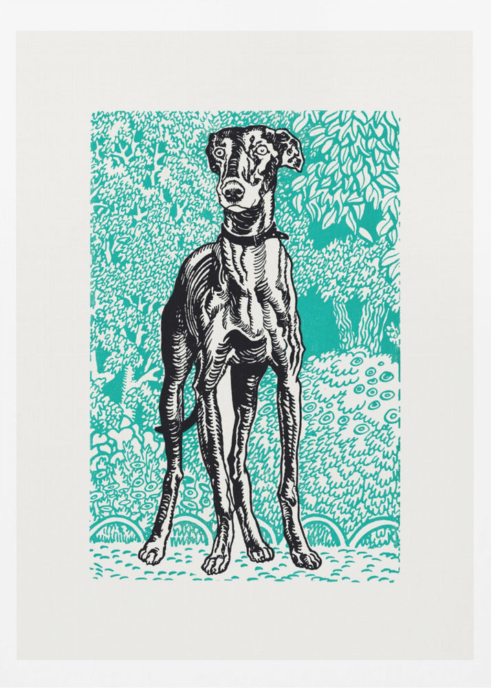 Greyhound - Poster / Art Print