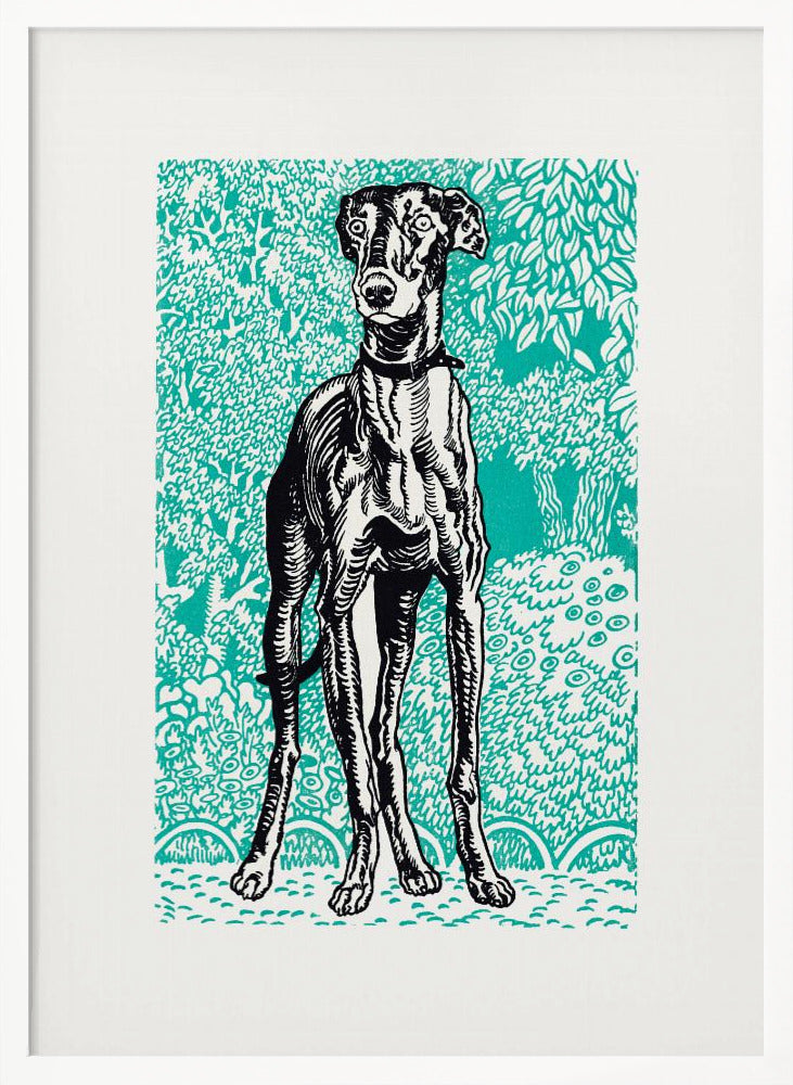 Greyhound - Poster / Art Print