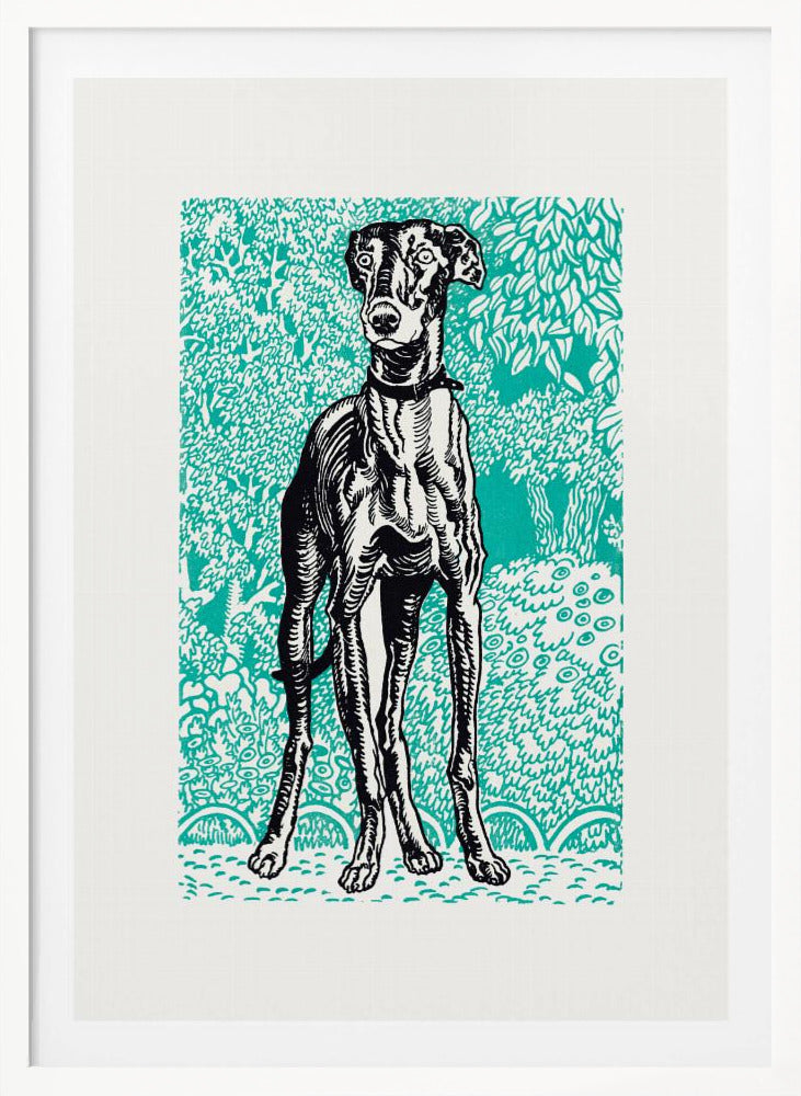 Greyhound - Poster / Art Print