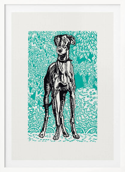 Greyhound - Poster / Art Print