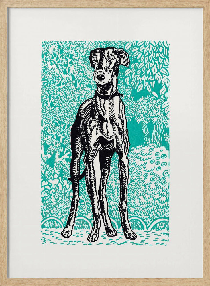 Greyhound - Poster / Art Print