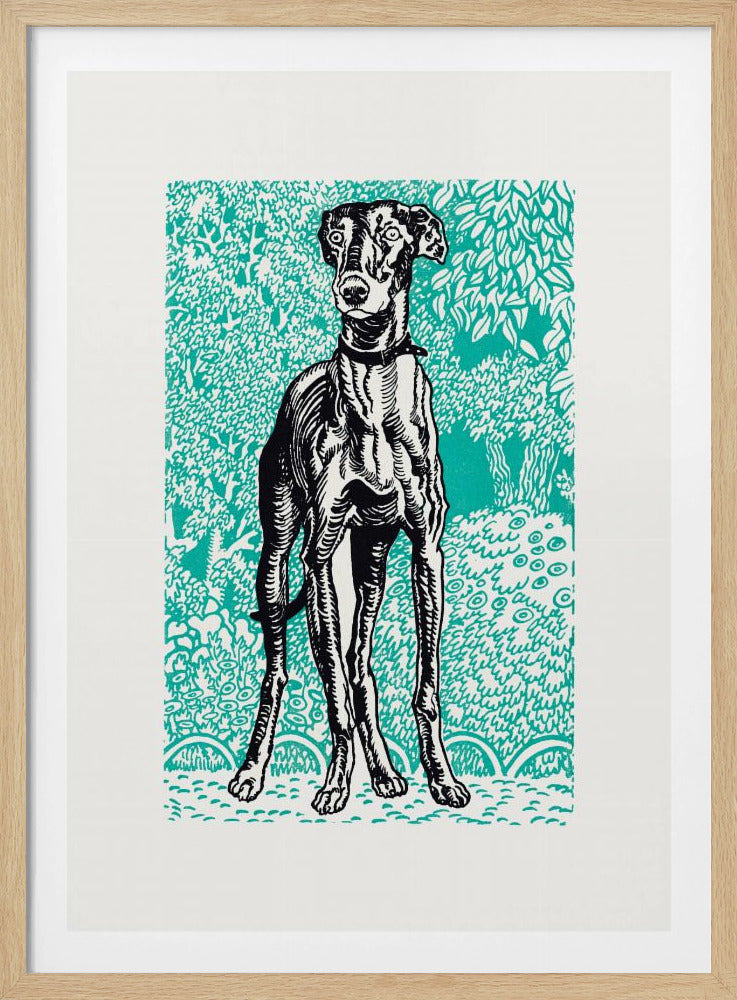 Greyhound - Poster / Art Print