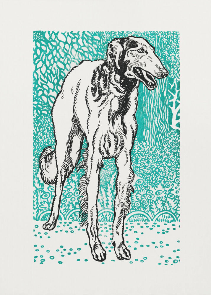 Greyhound - Poster / Art Print