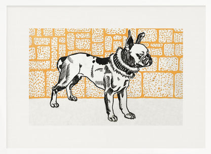 Pitbull Terrier - Poster / Art Print