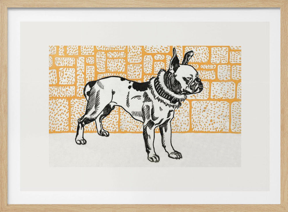 Pitbull Terrier - Poster / Art Print