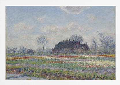 Claude Monet's Tulip Fields At Sassenheim, (1886) - Poster / Art Print