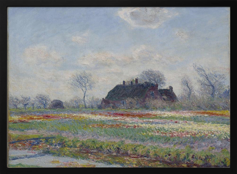 Claude Monet's Tulip Fields At Sassenheim, (1886) - Poster / Art Print