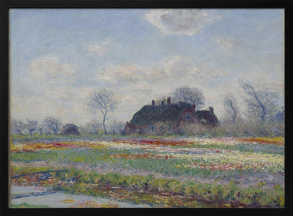 Claude Monet's Tulip Fields At Sassenheim, (1886) - Poster / Art Print