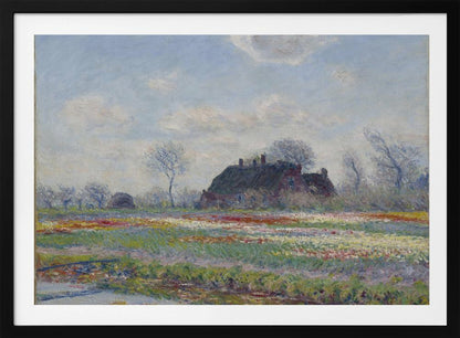 Claude Monet's Tulip Fields At Sassenheim, (1886) - Poster / Art Print