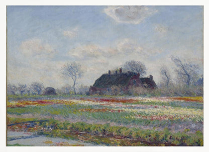 Claude Monet's Tulip Fields At Sassenheim, (1886) - Poster / Art Print