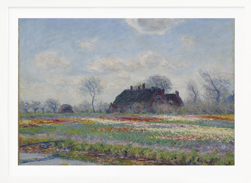 Claude Monet's Tulip Fields At Sassenheim, (1886) - Poster / Art Print