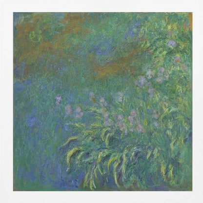 Irises By Claude Monet - Poster / Art Print
